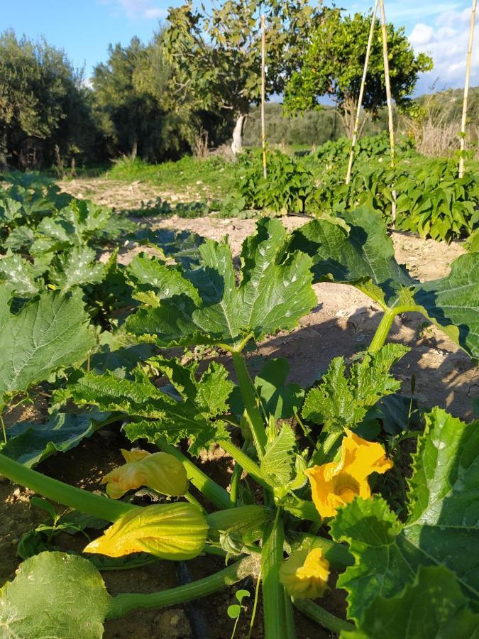 Myparadise-Farm Villa In The Centre Of South Crete Каламаки Екстериор снимка