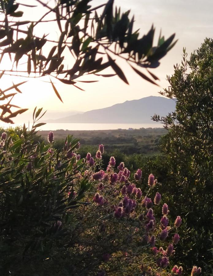 Myparadise-Farm Villa In The Centre Of South Crete Каламаки Екстериор снимка