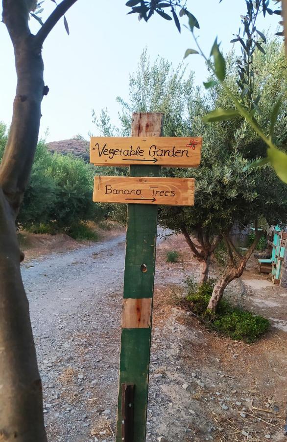 Myparadise-Farm Villa In The Centre Of South Crete Каламаки Екстериор снимка